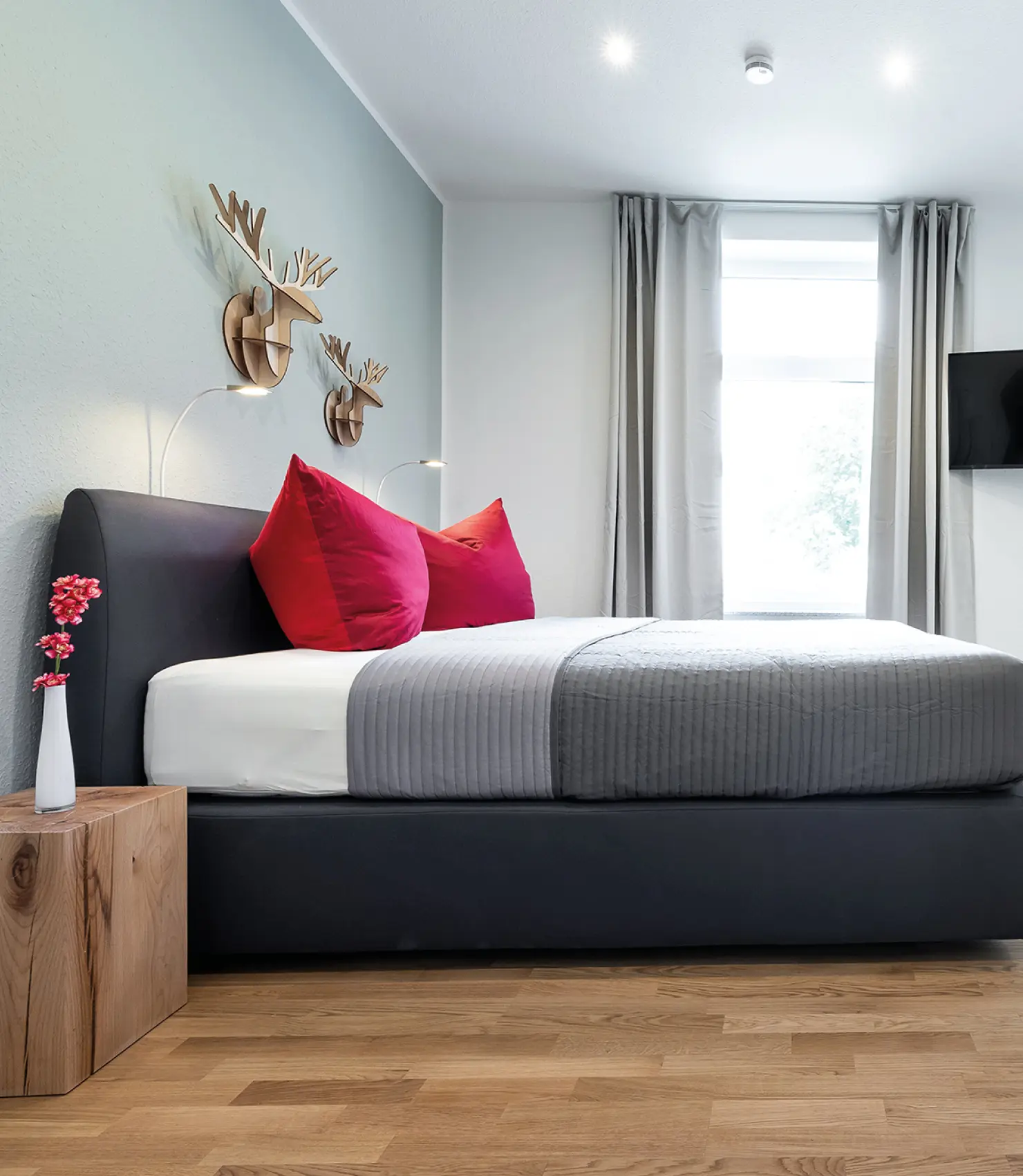 3 Zimmer Appartements